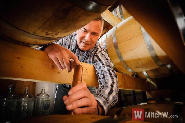 In The Barrel Room – New York Commercial Photographer